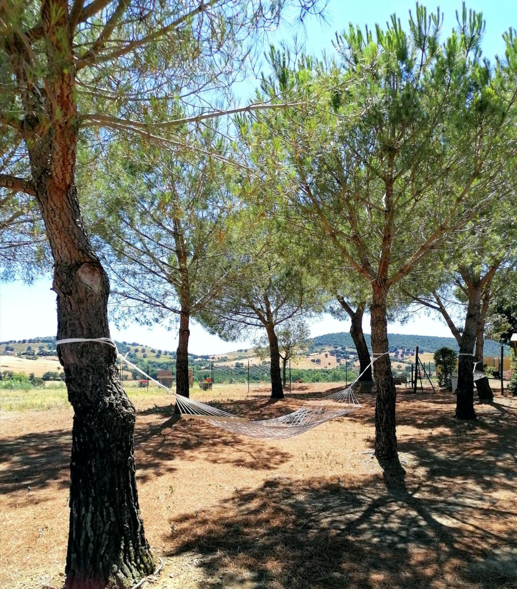 Farm stay Boschetto Di Montiano
