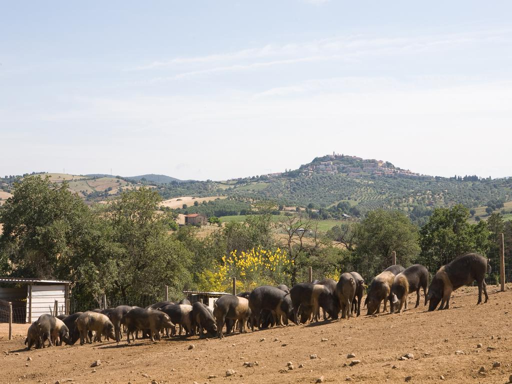 Farm stay Boschetto Di Montiano