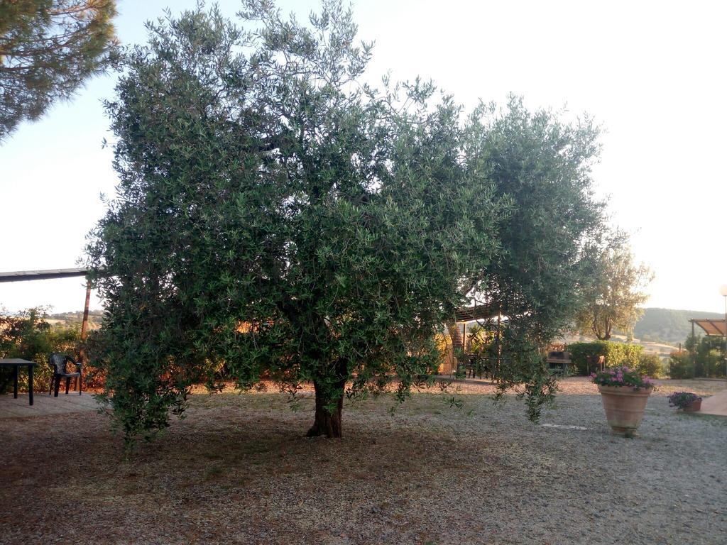 Boschetto Di Montiano Farm stay Montiano (Tuscany)